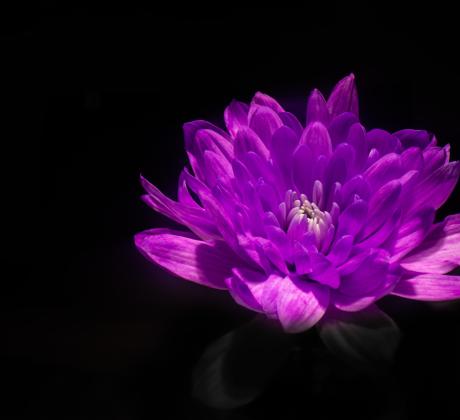 Добро утро   Нека започнем деня с вдъхновяващи думи Жените нямат