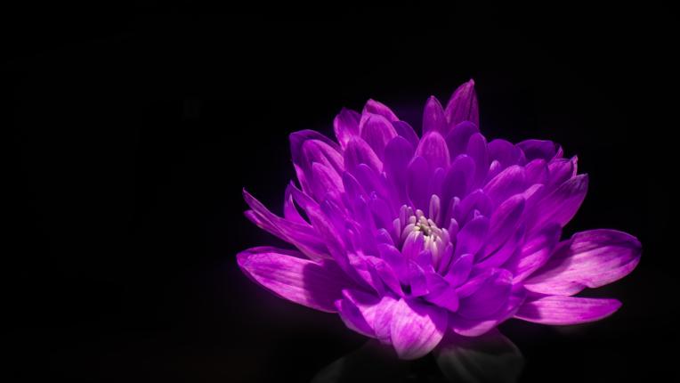  Дневен хороскоп за 25 август, понеделник 