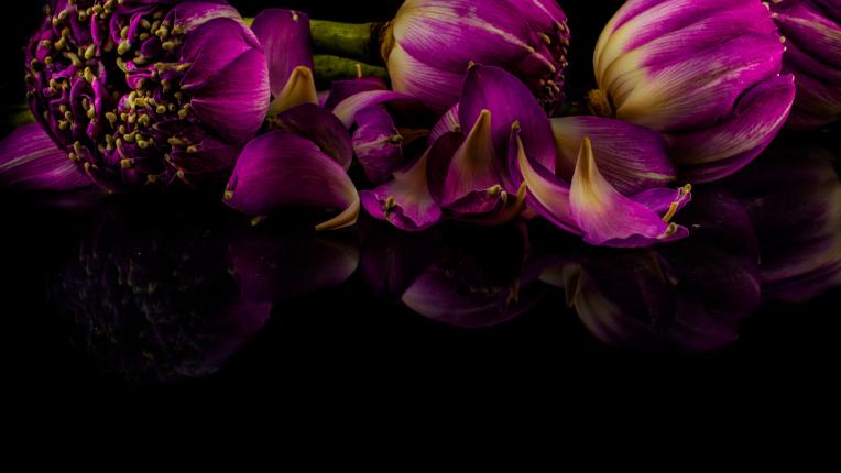  Дневен хороскоп за 23 април, сряда 