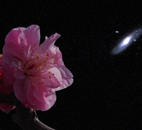 Добро утро   Нека започнем деня с вдъхновяващи думи За верния