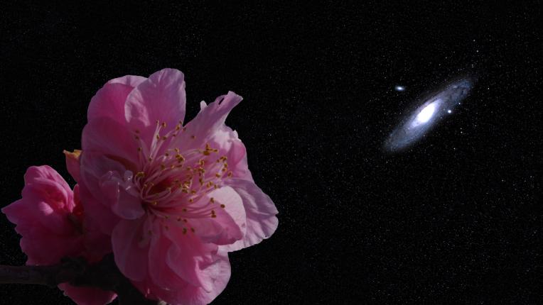  Дневен хороскоп за 27 март, четвъртък 