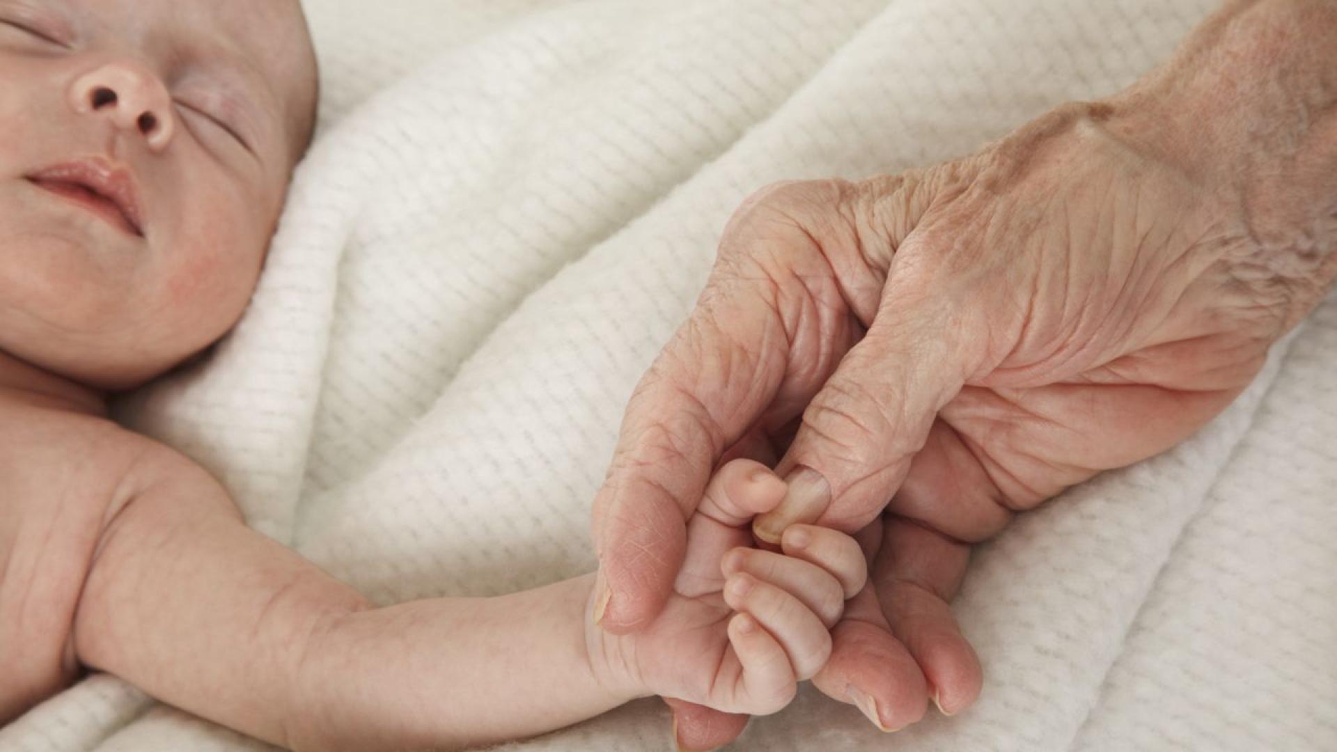 Александра Хилдебрант директор на частния музей Чекпойнт Чарли в центъра