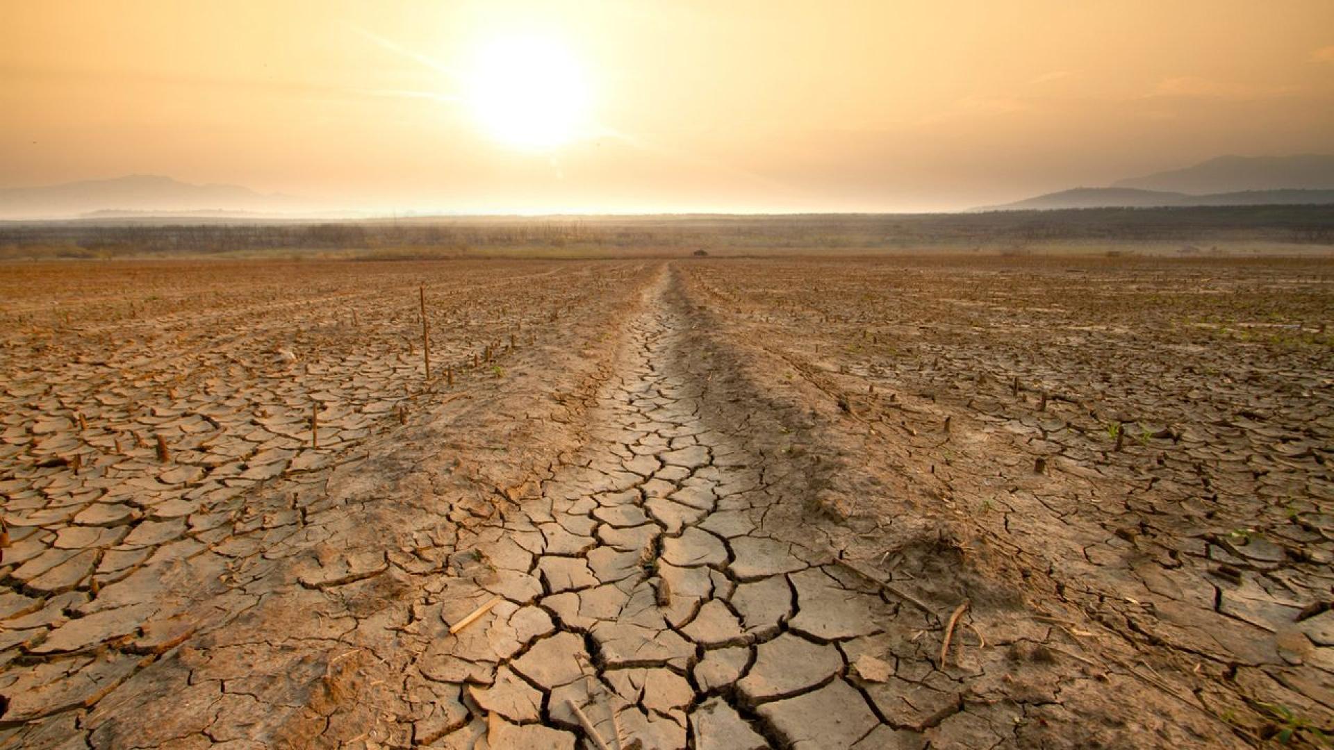 Икономическите модели систематично подценяват влиянието на глобалното затопляне върху богатството