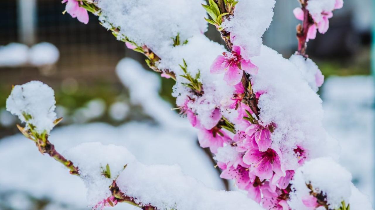 Илюстративна снимка