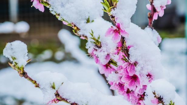 Дъжд и сняг в средата на седмицата