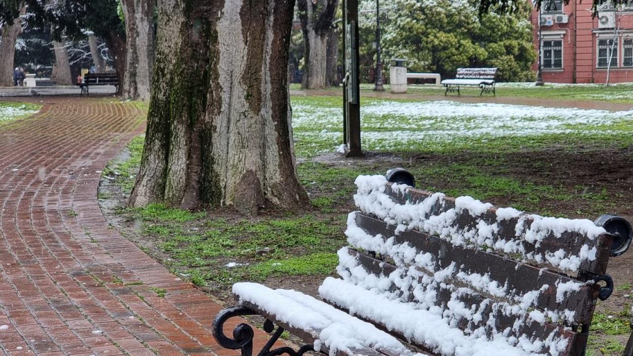 Илюстративна снимка