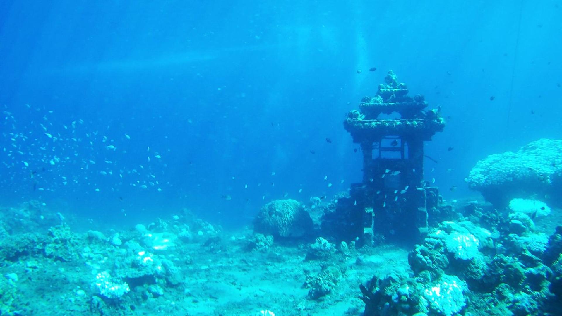Океаните принадлежат на всички нас Те изхранват и закрилят нашите