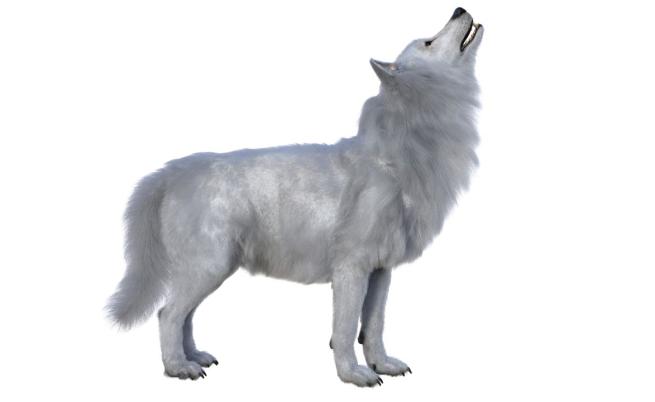 Учените казват, че са възкресили свирепия вълк