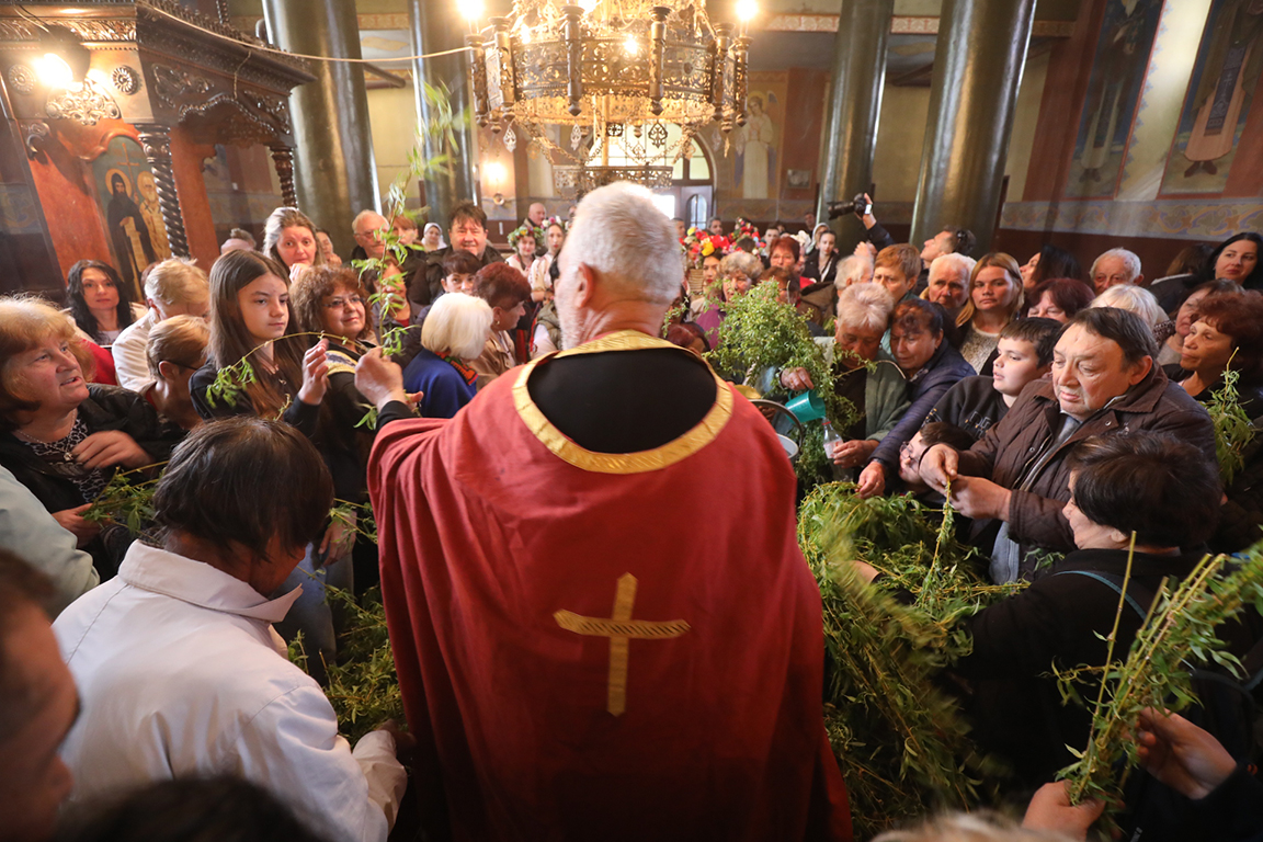 <p>Кумичене край река Искър до гр. Койнаре</p>