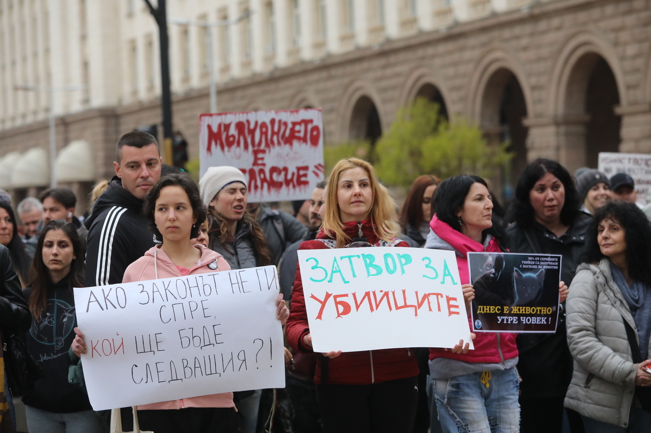 <p>Протест срещу насилието над животни събра десетки души пред сградата на Народното събрание.</p>