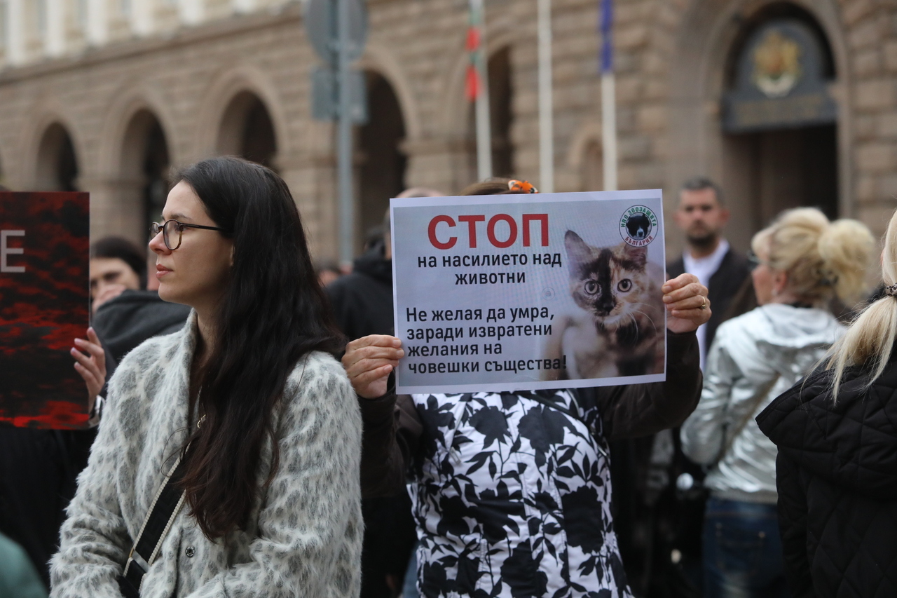 <p>Протест срещу насилието над животни събра десетки души пред сградата на Народното събрание.</p>
