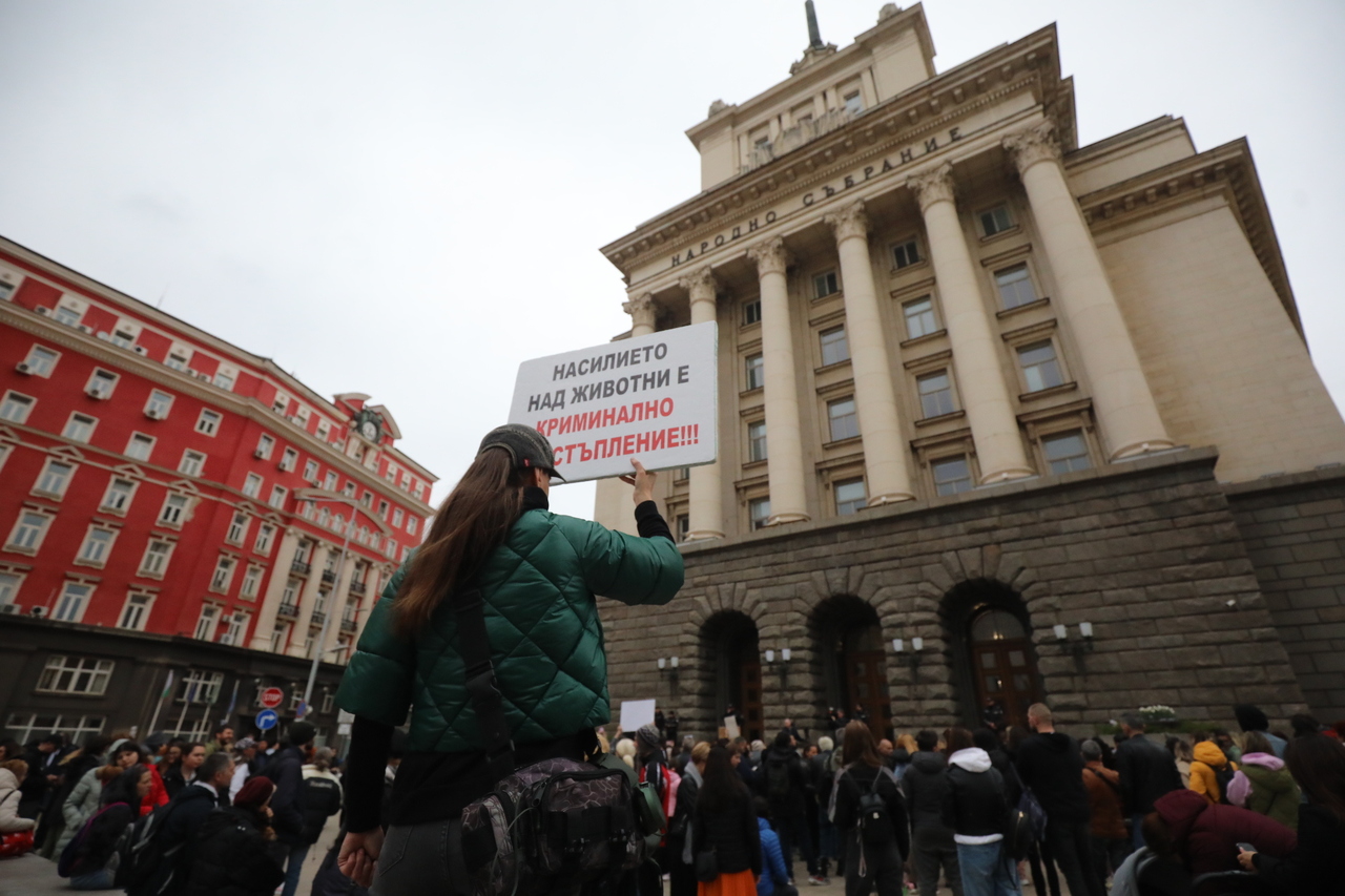 <p>Протест срещу насилието над животни събра десетки души пред сградата на Народното събрание.</p>