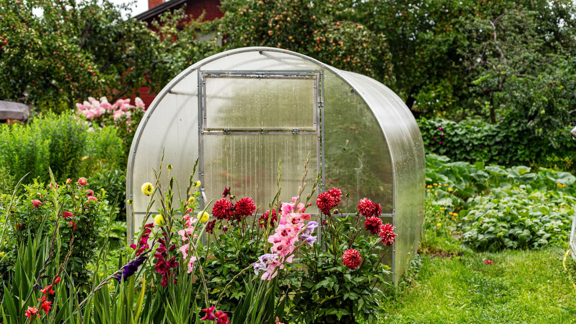 Цветя декоративни растения домашни зеленчуци подправки и билки плодове –