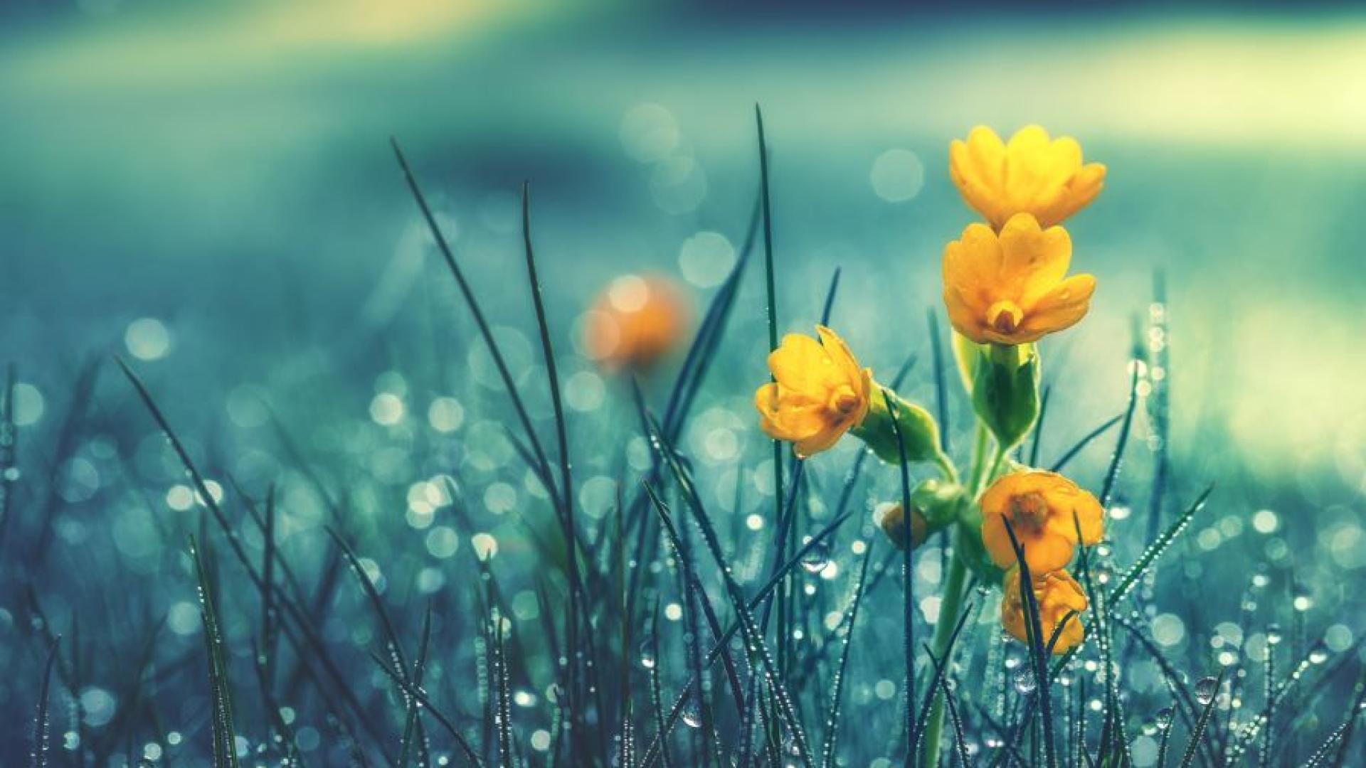 На Велика събота облачността ще се задържи по често значителна след