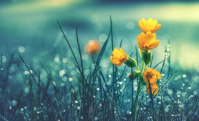 <p>Времето в петък: Топло, но с изненади ☀️🌧️</p>