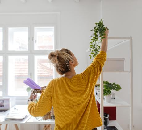 Домът е мястото където се зареждаме отпускаме и прекарваме голяма