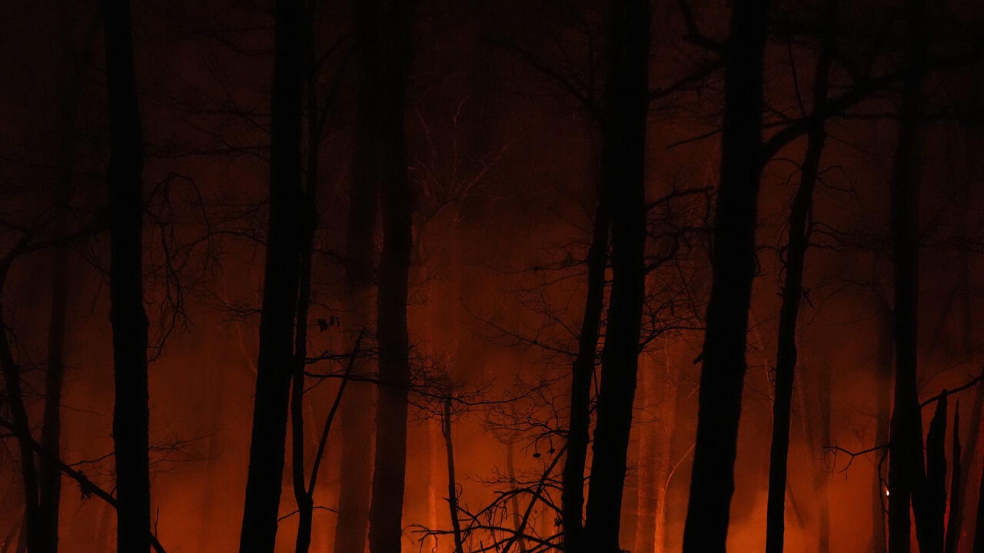 Два отделни горски пожара избухнаха вчера следобед в районите Сеферхисар