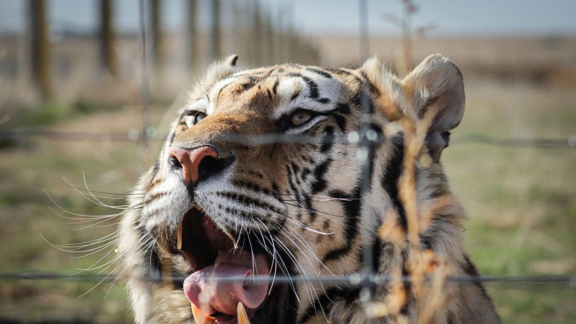 Джо Екзотик вече е женен мъж В понеделник 21 април 62 годишната