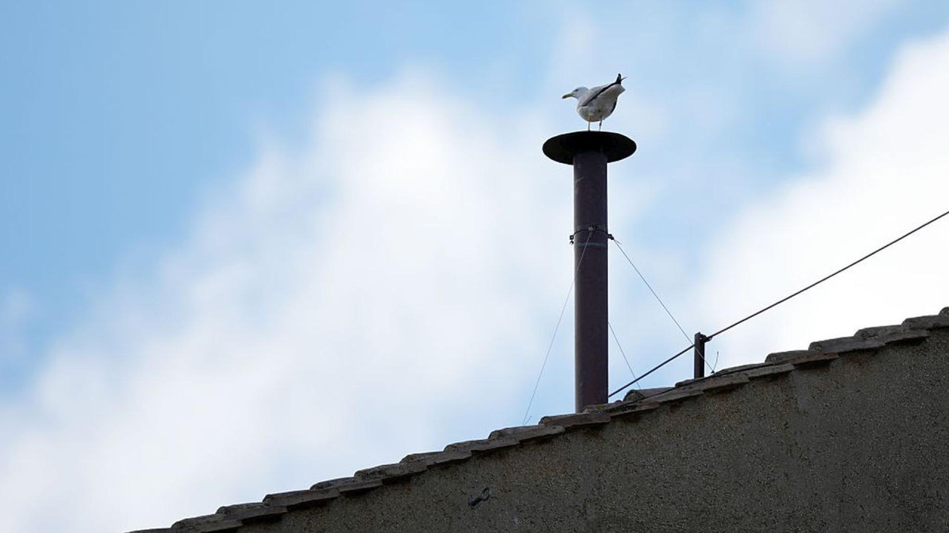 На 7 май в ранните сутрешни часове вниманието на зрителите