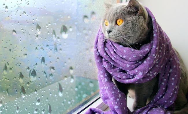 <p>Слънцето се завръща за кратко в четвъртък</p>