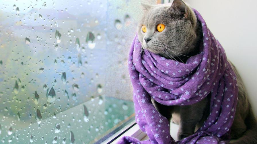 <p>Слънцето се завръща за кратко в четвъртък</p>