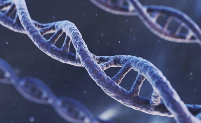 Медицински пробив: Редактиране на ДНК спаси бебе с тежко генетично заболяване