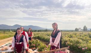 Започна розоберът в Казанлъшко