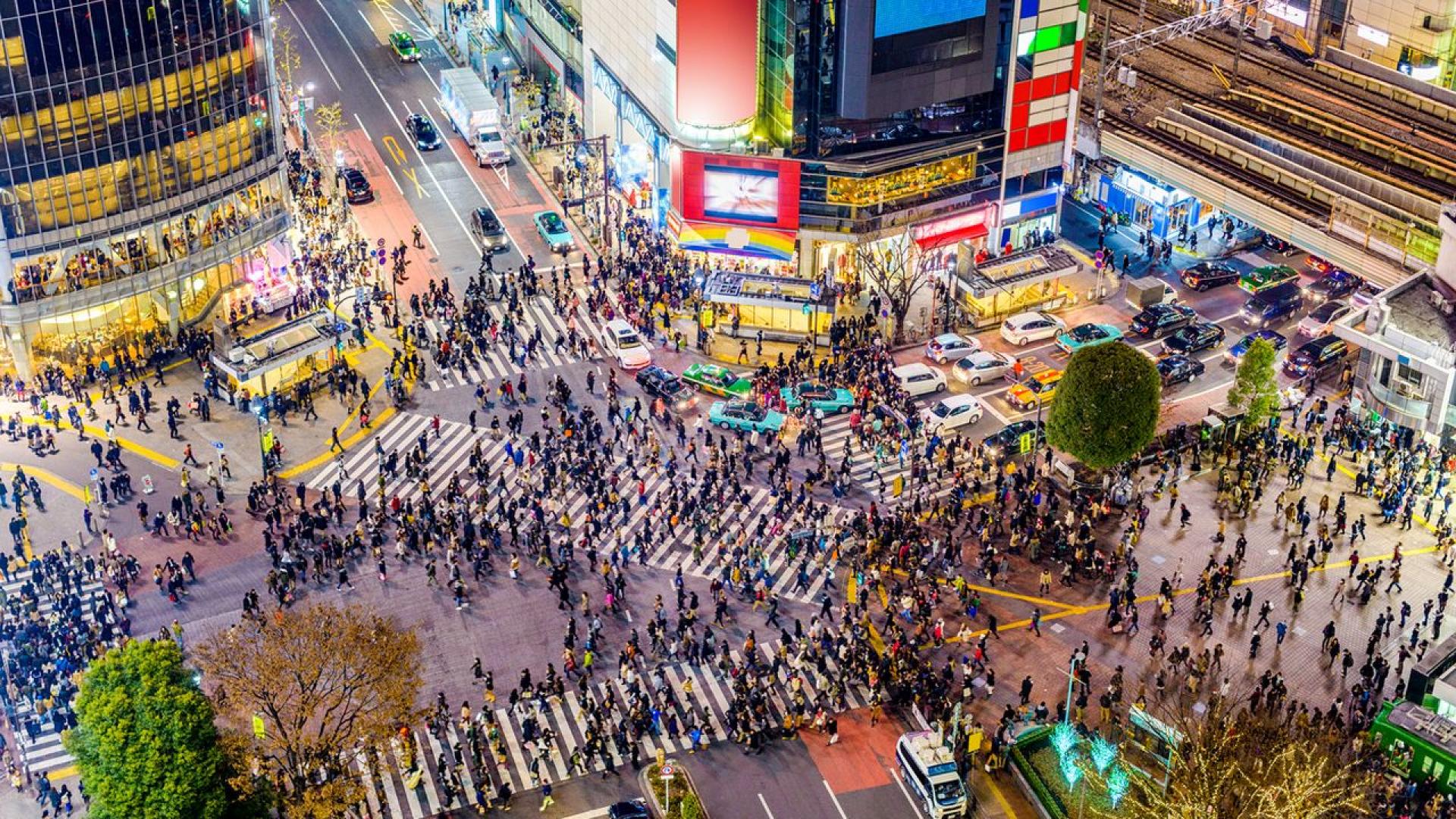 Проф Крис Макморан преподавател по японски изследвания в Националния университет