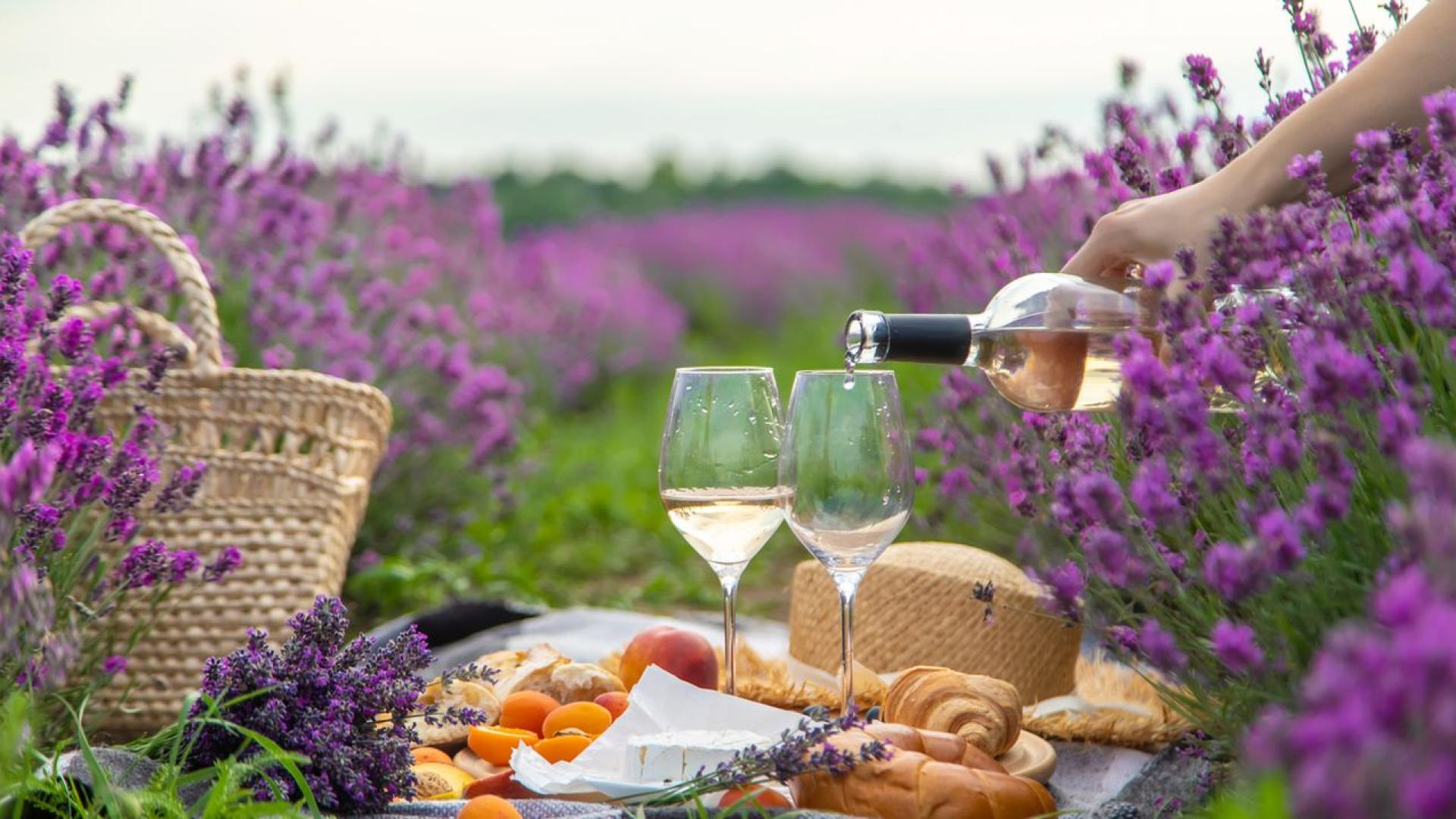 Преди възхода на инфлуенсърите в социалните мрежи представата за живота