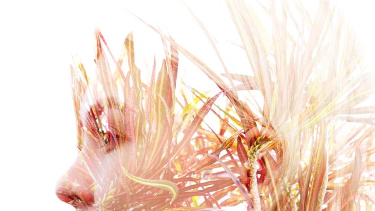  Нумерологична прогноза за 26 ноември, сряда 