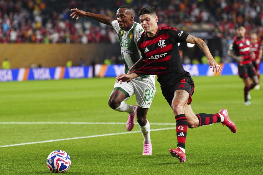 Фламенго Есперанс Тунис1