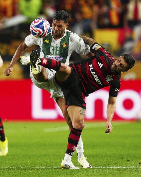 Фламенго Есперанс Тунис1