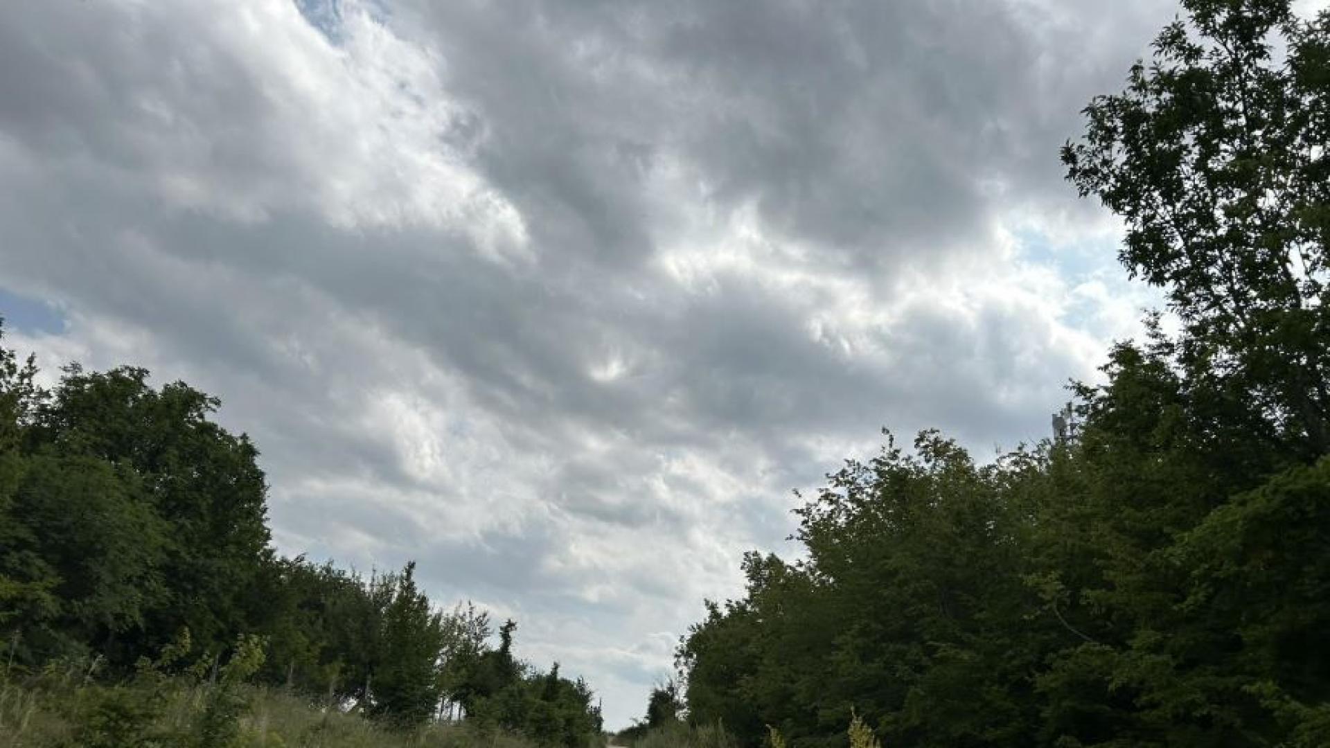 Издирването на черния леопард в района на Шуменското плато продължава