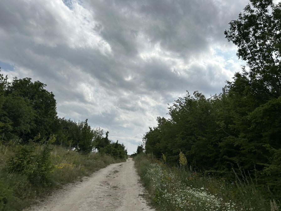 Остава в сила пълната забрана за достъп до Природен парк "Шуменско плато"