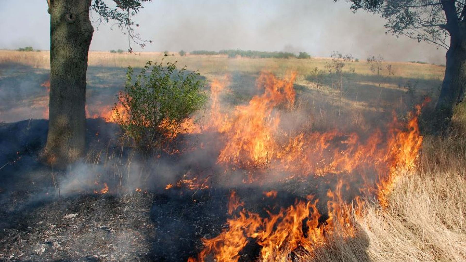 Пожар е пламнал по време на жътва в петък около