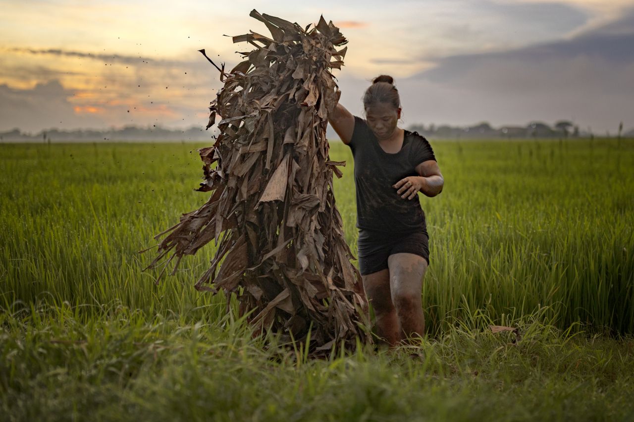 <p>Вижте впечатляващи кадри от фестивала Taong Putik в Алиага, Филипините, където стотици участници се преобразяват, покривайки телата си с кал, треви и листа в знак на смирение и духовна отдаденост. Снимките улавят едновременно мистиката, емоцията и суровата красота на едно от най-необичайните религиозни шествия в света. От мълчаливите фигури, които се движат бавно към храма, до контрастния празничен край &ndash; това е история, разказана в кал, светлина и вяра.</p>