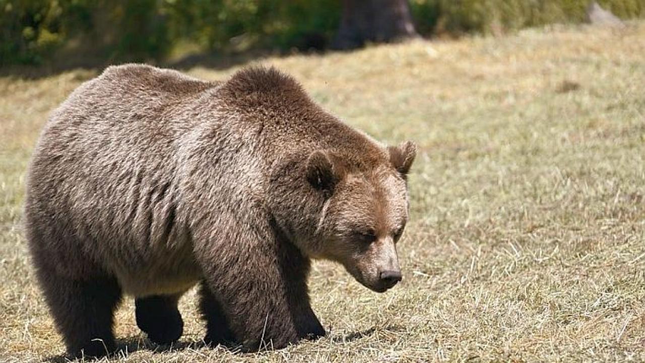 Илюстративна снимка