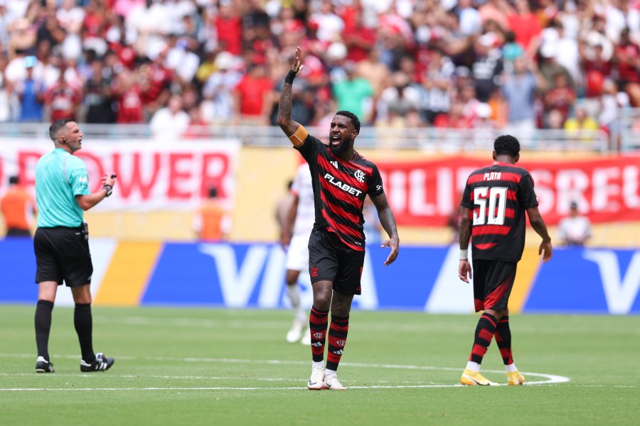 Фламенго Байерн1