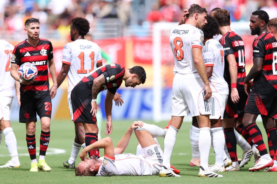 Фламенго Байерн1