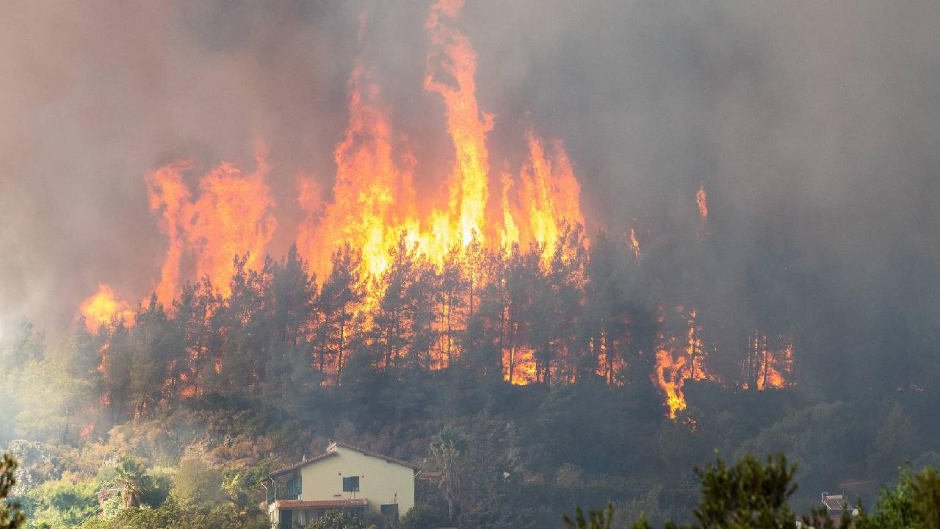 Петдесет хиляди души са евакуирани заради пожарите които бушуват в