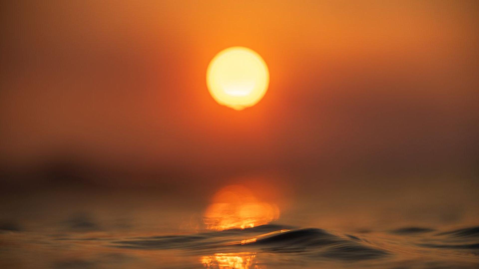 По голямата част от Европа в момента се пече в т нар