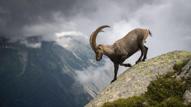 В България имаме "силна връзка" с природата