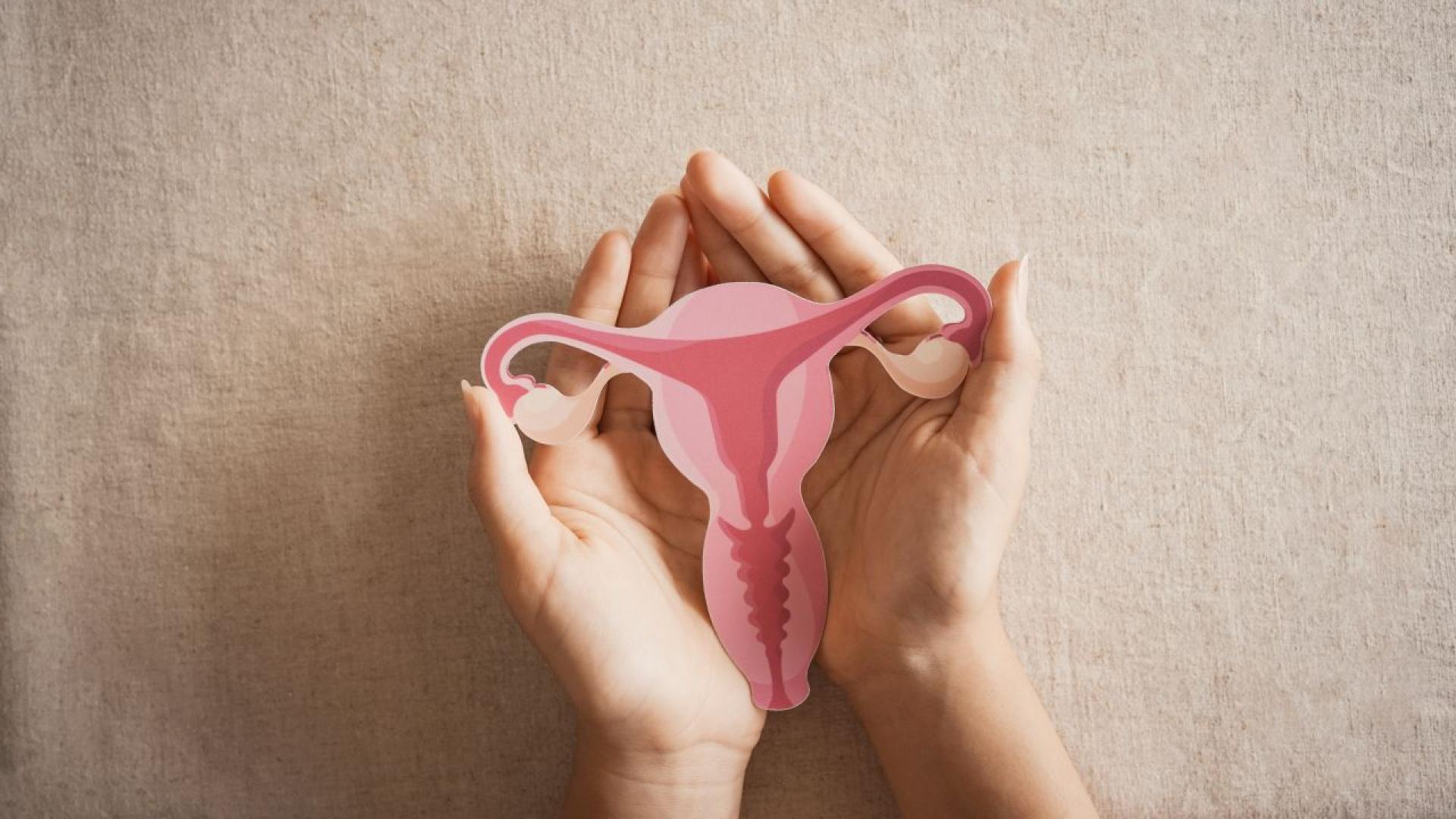 Неизбежни горещи вълни Хормонален хаос Безсексуални партньорства Такива стереотипи за