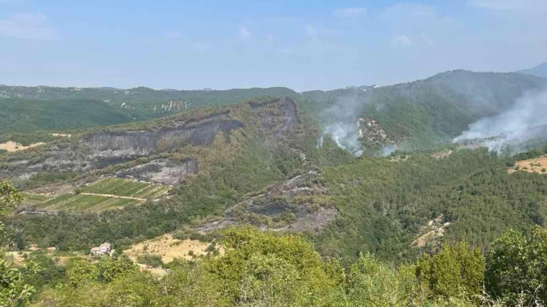 Пожарът в района на село Горно Спанчево е навлязъл в