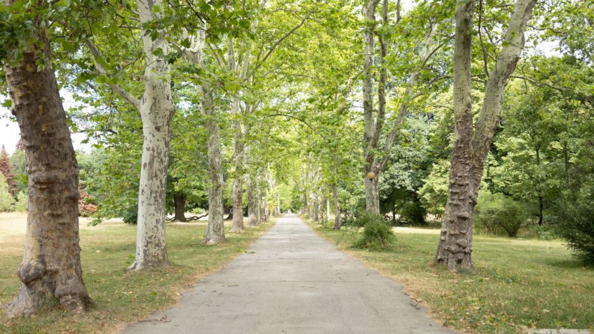 Областният управител на София Стефан Арсов призова кмета на столицата