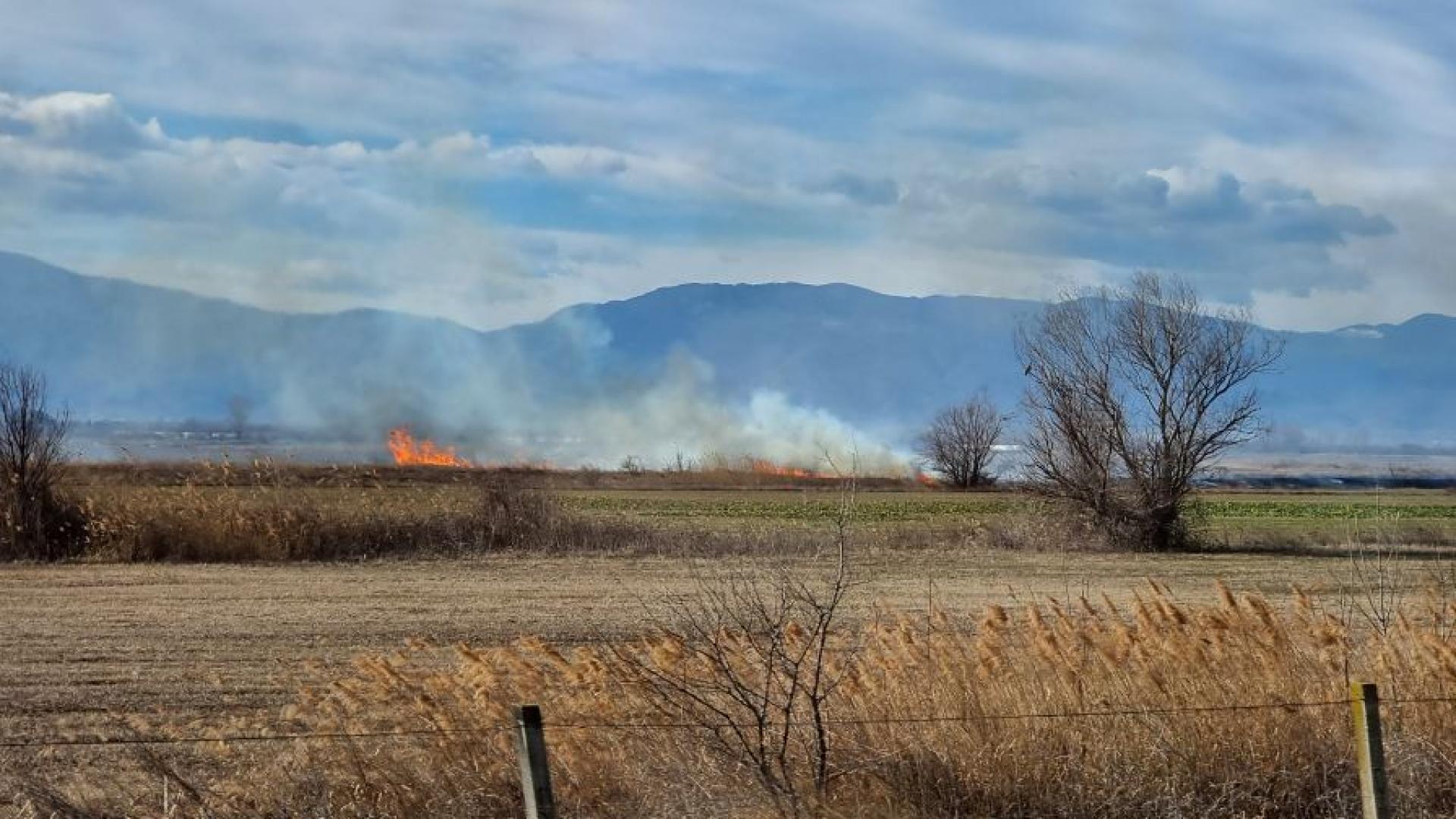 Сухи треви и храсти са се запалили при 73 тия км