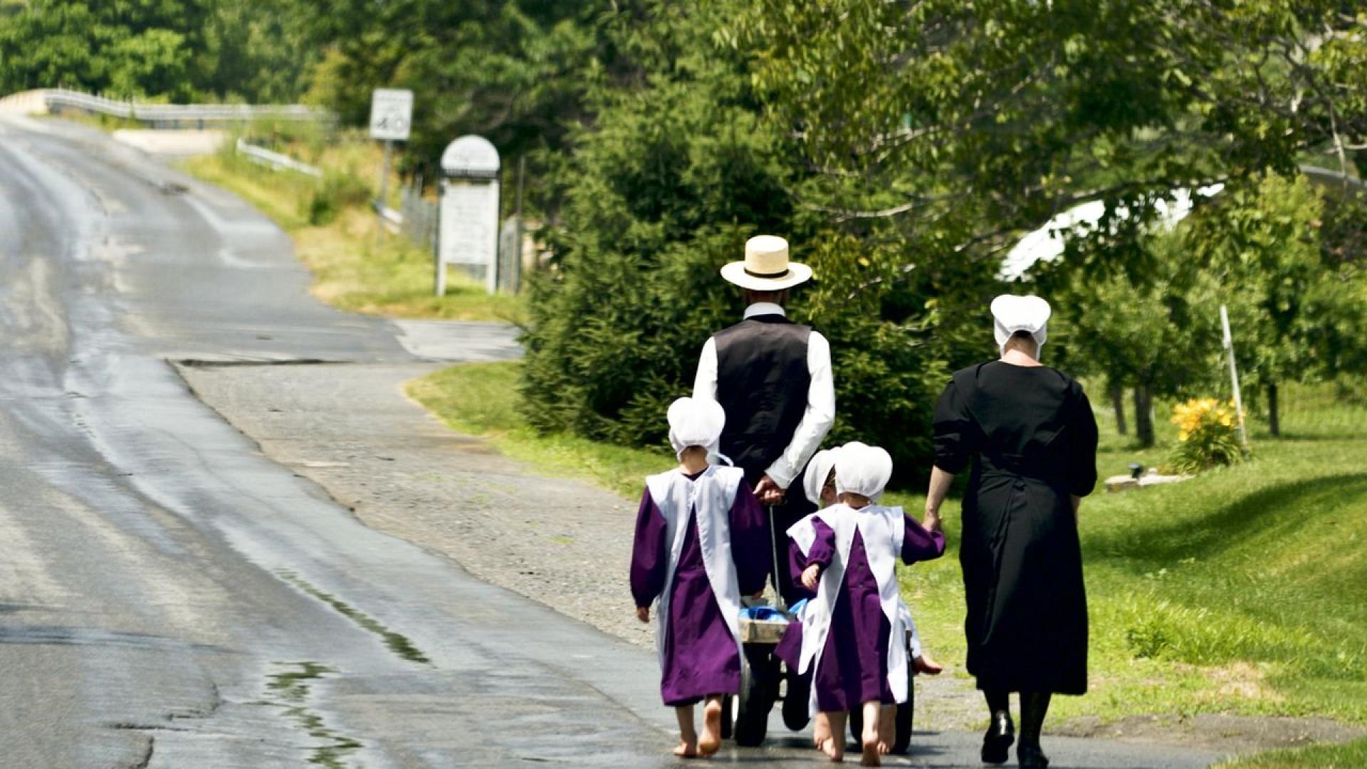 Алергиите в днешно време изглеждат почти невъзможни от избягване  