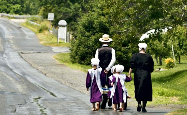 Защо амишите са хората с най-малко алергии в света?