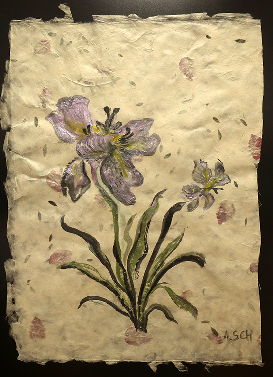 <p>Александра Школска</p>