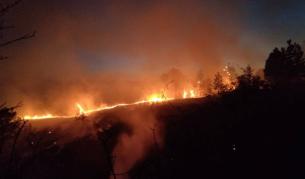 <p>Човешки останки са открити сред бушуващите горски пожари в Австралия</p>